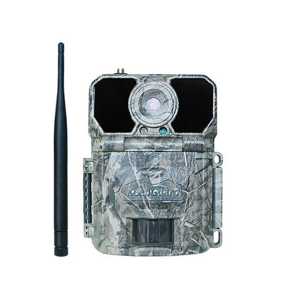 野性生物の捕獲の研究のための写真のトラップMMS SMS GPRS 3Gの道のカメラ